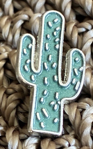 Kaktus pin selten anstecker - kaktus,